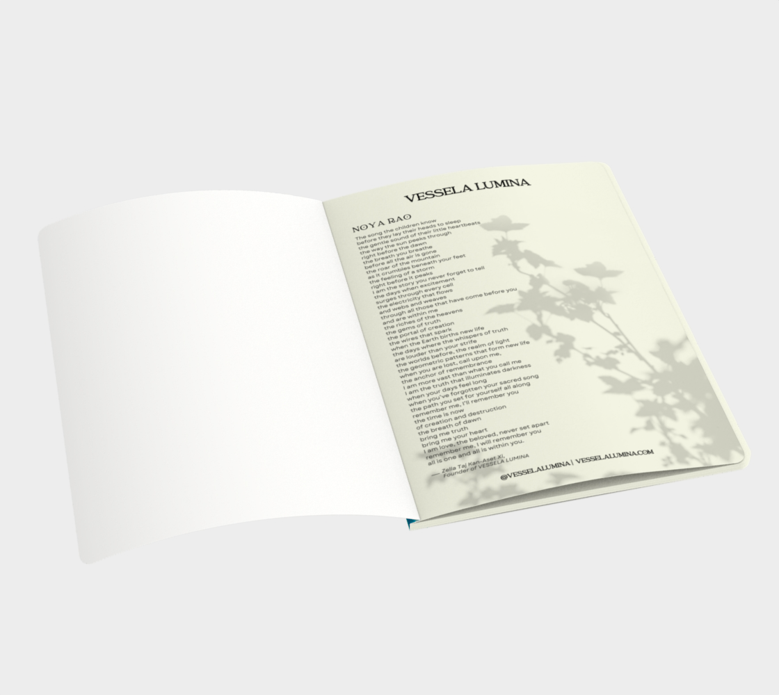 Noya Rao Journal