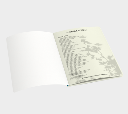 Noya Rao Journal